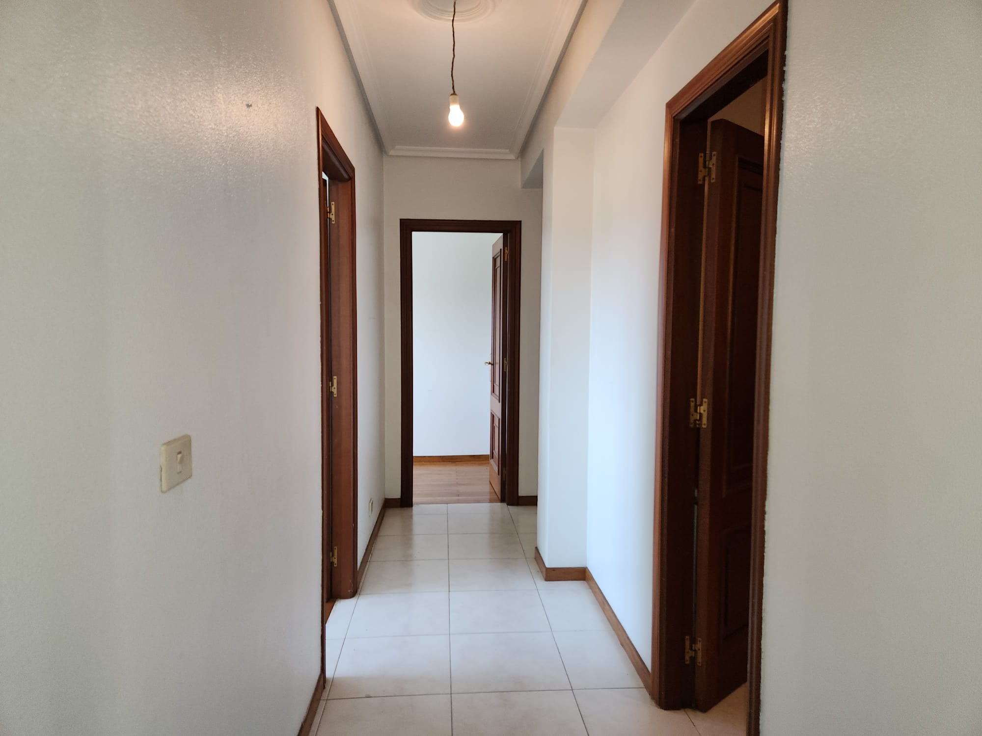 1c8666ab-d1bb-4c27-9c3c-46f4d131b8e7