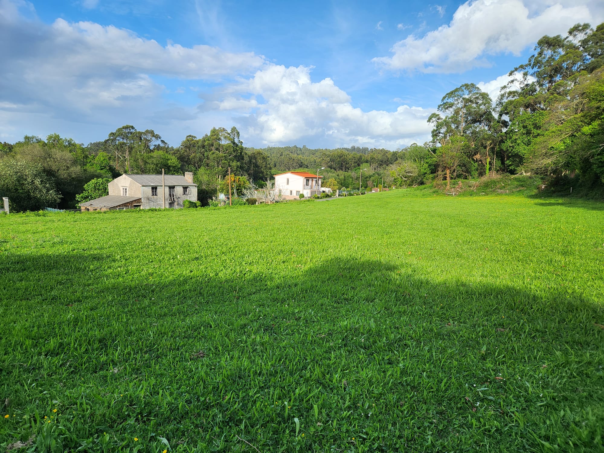 20e972cc-02d0-41de-a608-5b9d686ae448