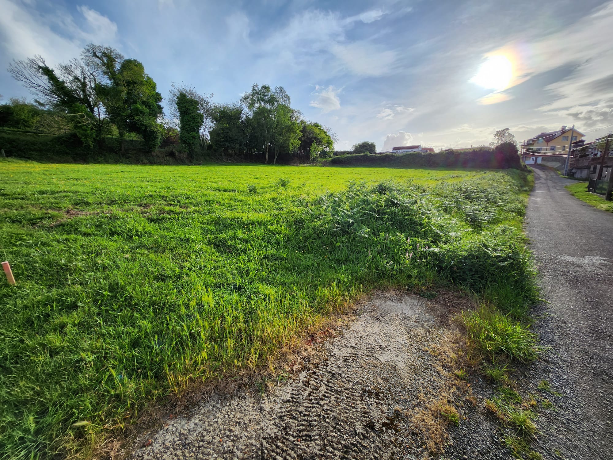 3d452850-e053-4206-9460-6dc94b507005