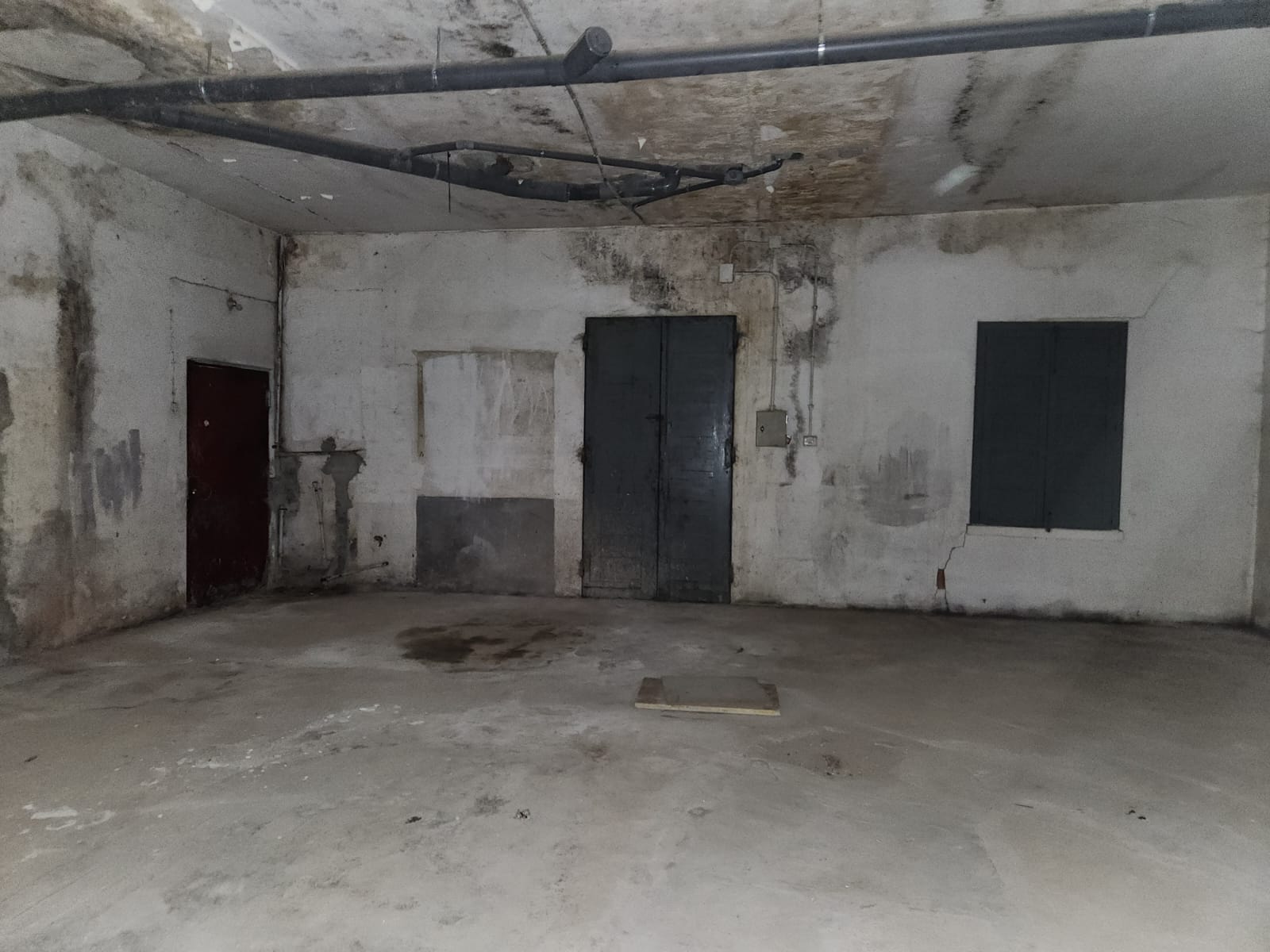 407fa33e-549a-4546-92e7-5e663ecb5335