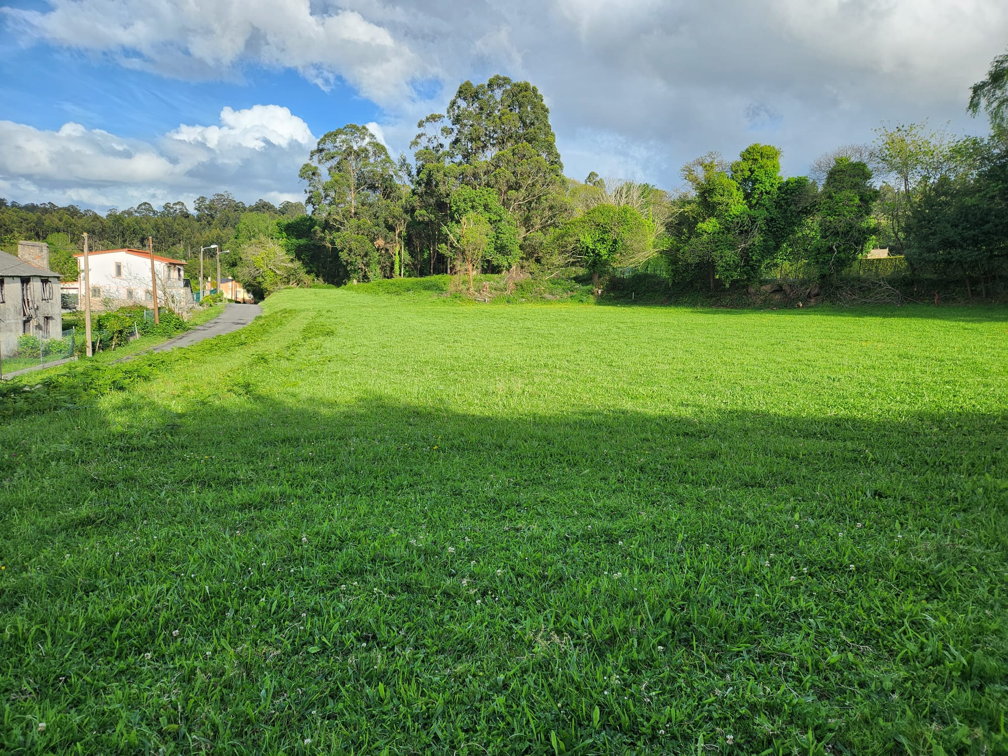 9e2932a3-8636-4edf-8994-4738f7832aaf