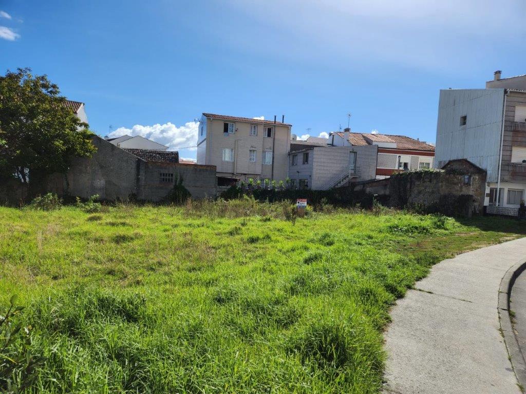 WhatsApp Image 2022-10-03 at 13.33.52 (1)