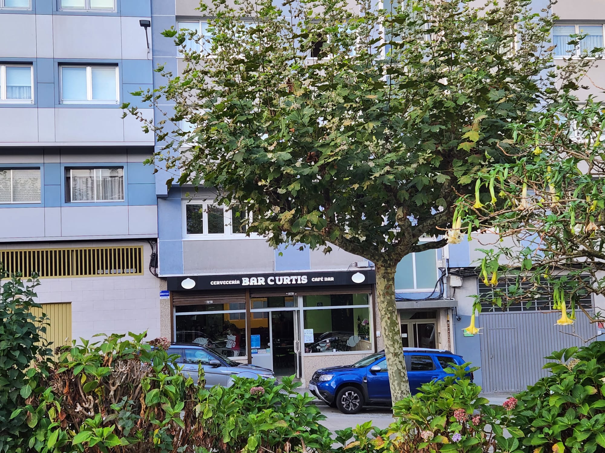 cc8c5d73-aedc-447f-b915-d6cb0c08116e