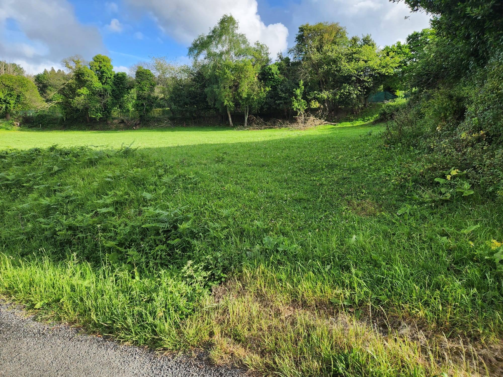 ce0a401e-3f9a-4c02-90b8-ade946e4ffa2