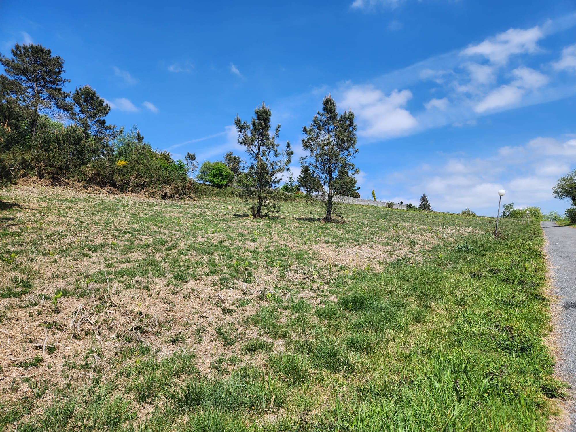 ed0f3db2-907c-4a2b-82df-7fd9f9f05595